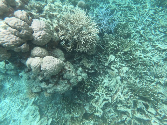 帕劳的海景风光给人美的享受,帕劳的海洋和沙滩风景图片