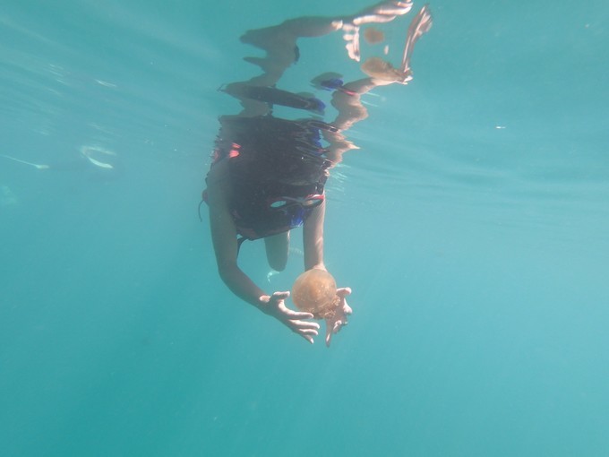 帕劳的海景风光给人美的享受,帕劳的海洋和沙滩风景图片