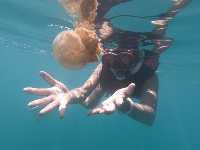 帕劳的海景风光给人美的享受,帕劳的海洋和沙滩风景图片