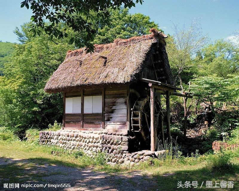 怡人的景色视频,怡人的风景美景