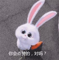 兴业县2021年招生计划,新增公办学位2500余个