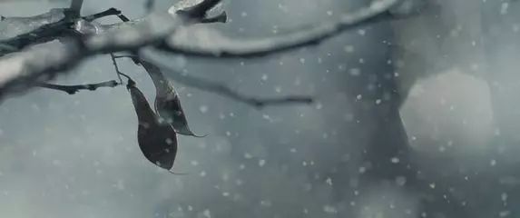 念念不忘必有回响吧,念念不忘必有回响