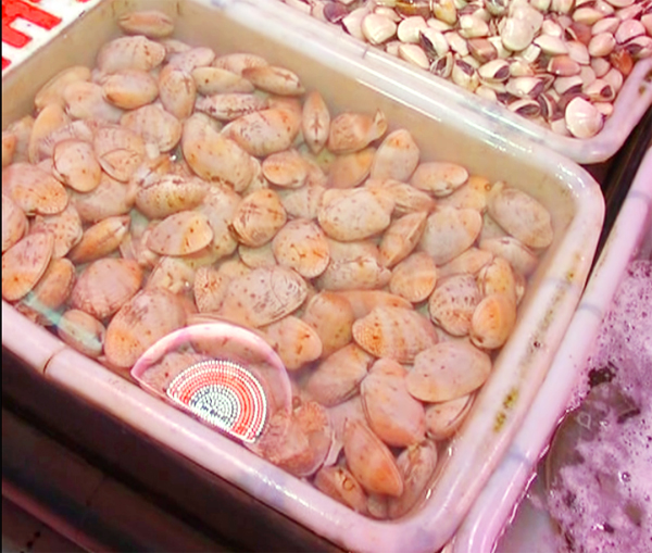 怎么挑好的花甲,怎么选最好的花甲