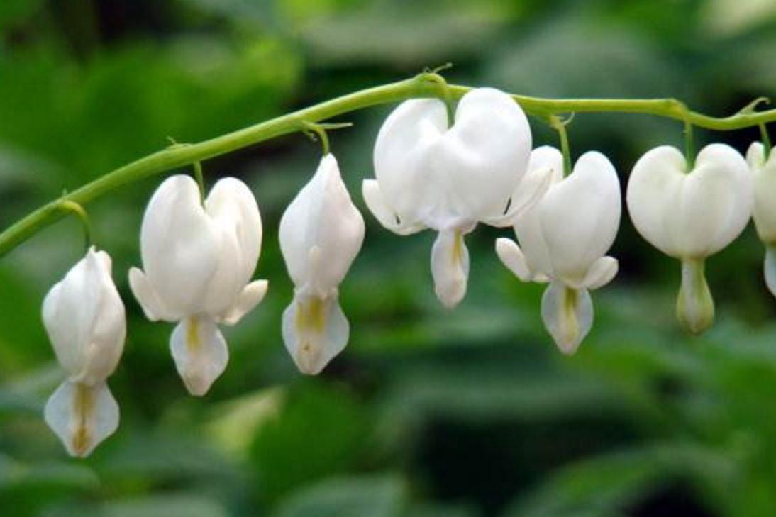 做人要有随遇而安的心态,做人进退有度随遇而安