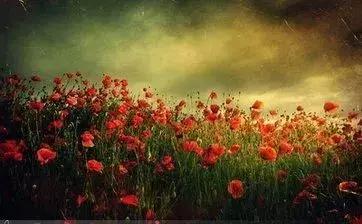 青年节愿我们永远年轻,五四青年节只争朝夕不负韶华