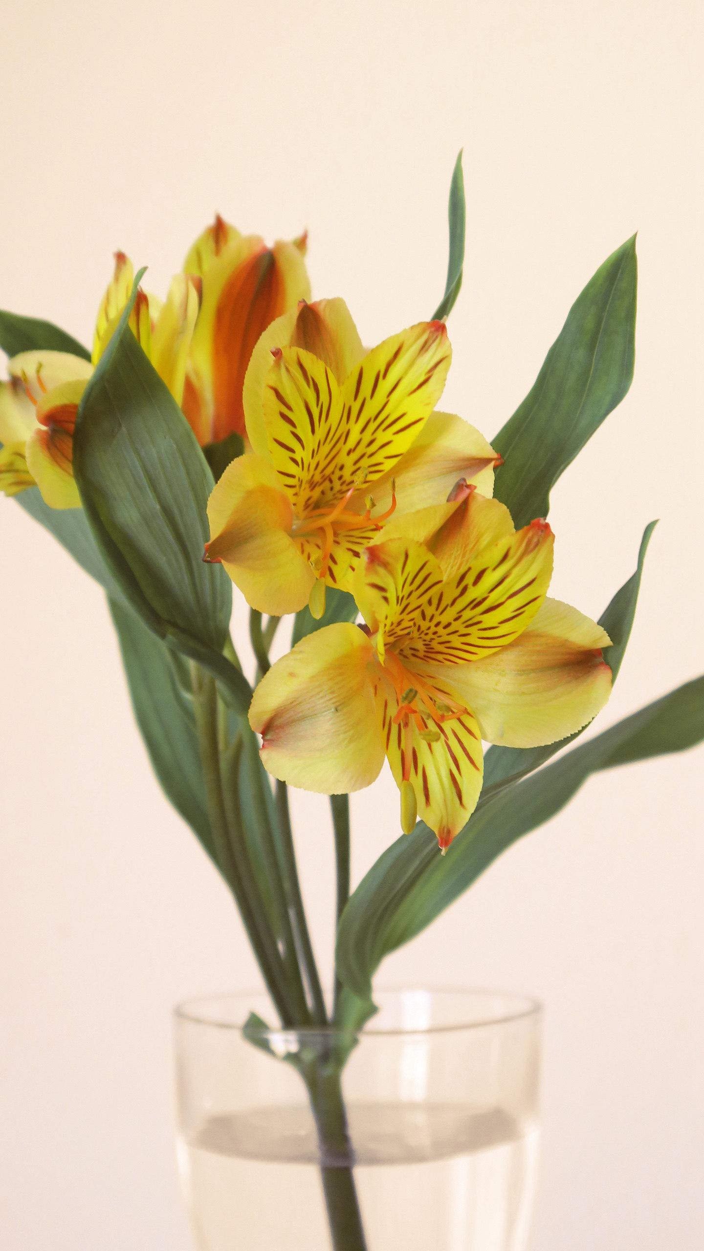 产房时，我也真的想过自杀！