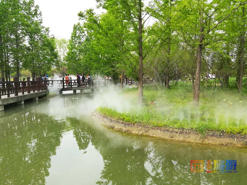 北京国际鲜花港游玩指南来啦！郁金香争奇斗艳，音乐喷泉令人震撼，云雾仙境如梦似幻！