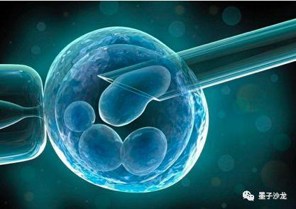 干细胞的代码,生命源代码61