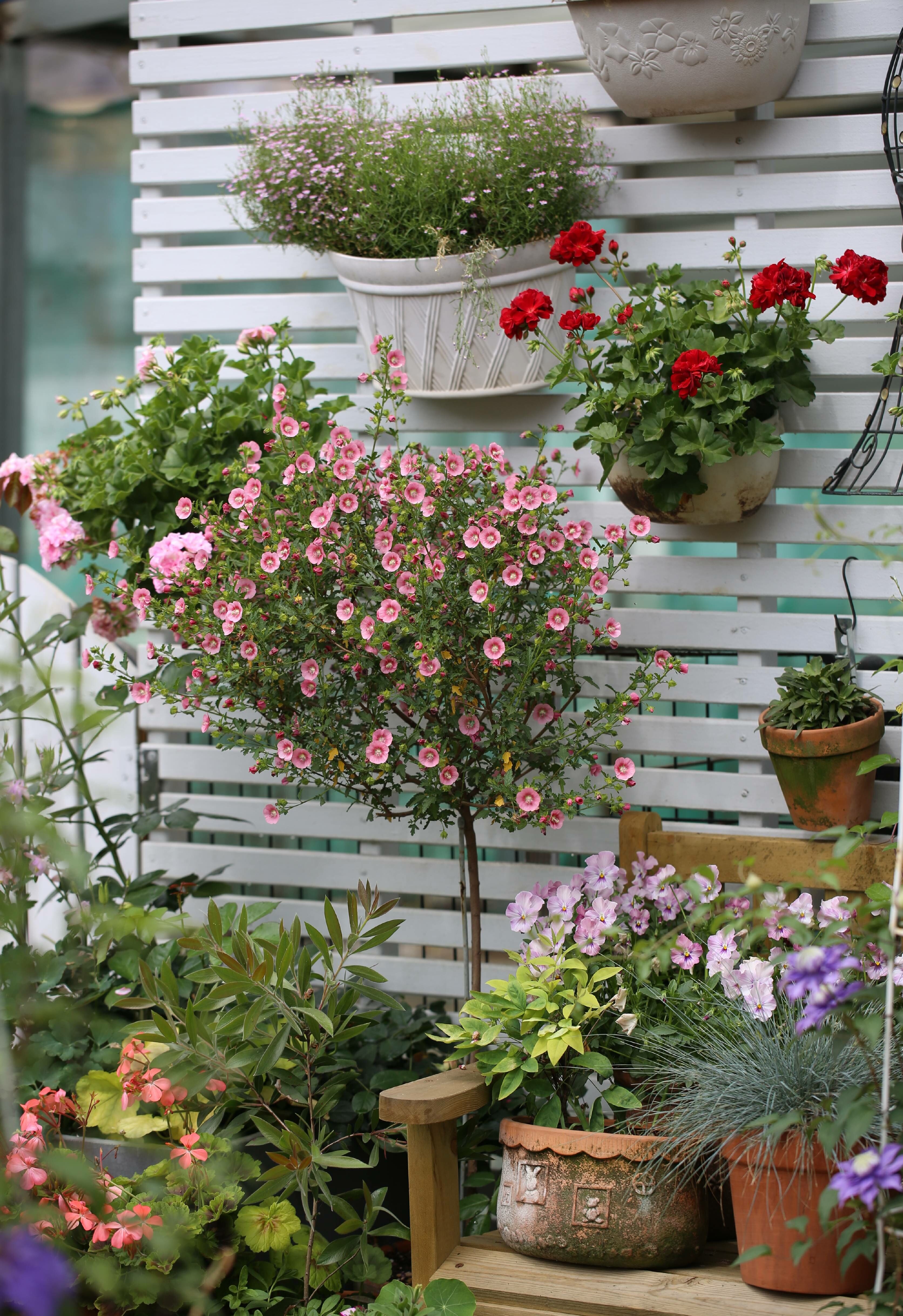 确认过眼神是从小帅到大的人,确认过眼神是个小眼睛