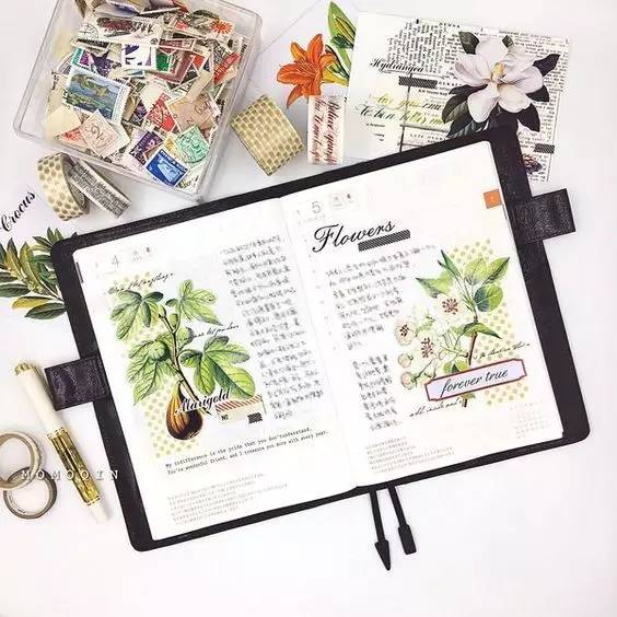 有了画画模板该怎么画,新手比较适合的画画教程