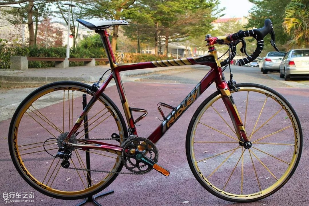 浜氳揪姹夋．ridley,ridley浜氳揪姹夋．