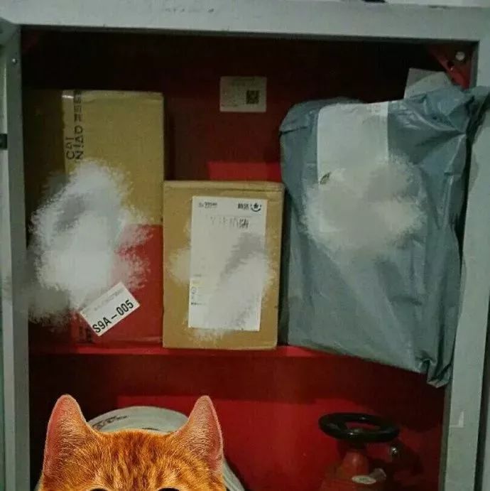 快递到了快递员不让拿,快递到了家里没人可以拒收吗