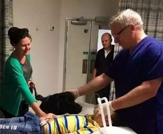 这个蓝星人都治不好的“绝症”，让狗狗给治好了