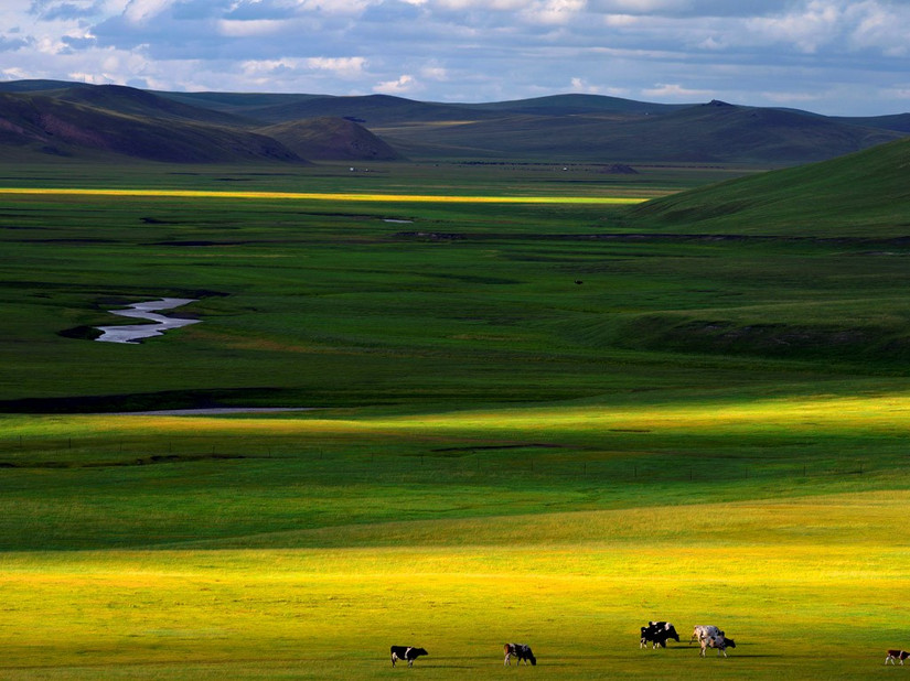 浪漫呼伦贝尔双飞五日游,呼伦贝尔5月精彩7日之旅
