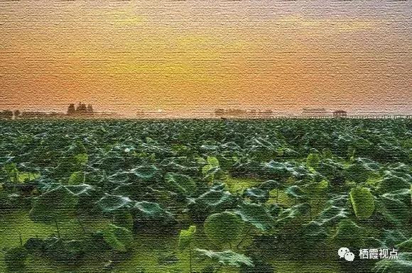 如果遇见你抖音版,如果遇见你2018浙江卫视