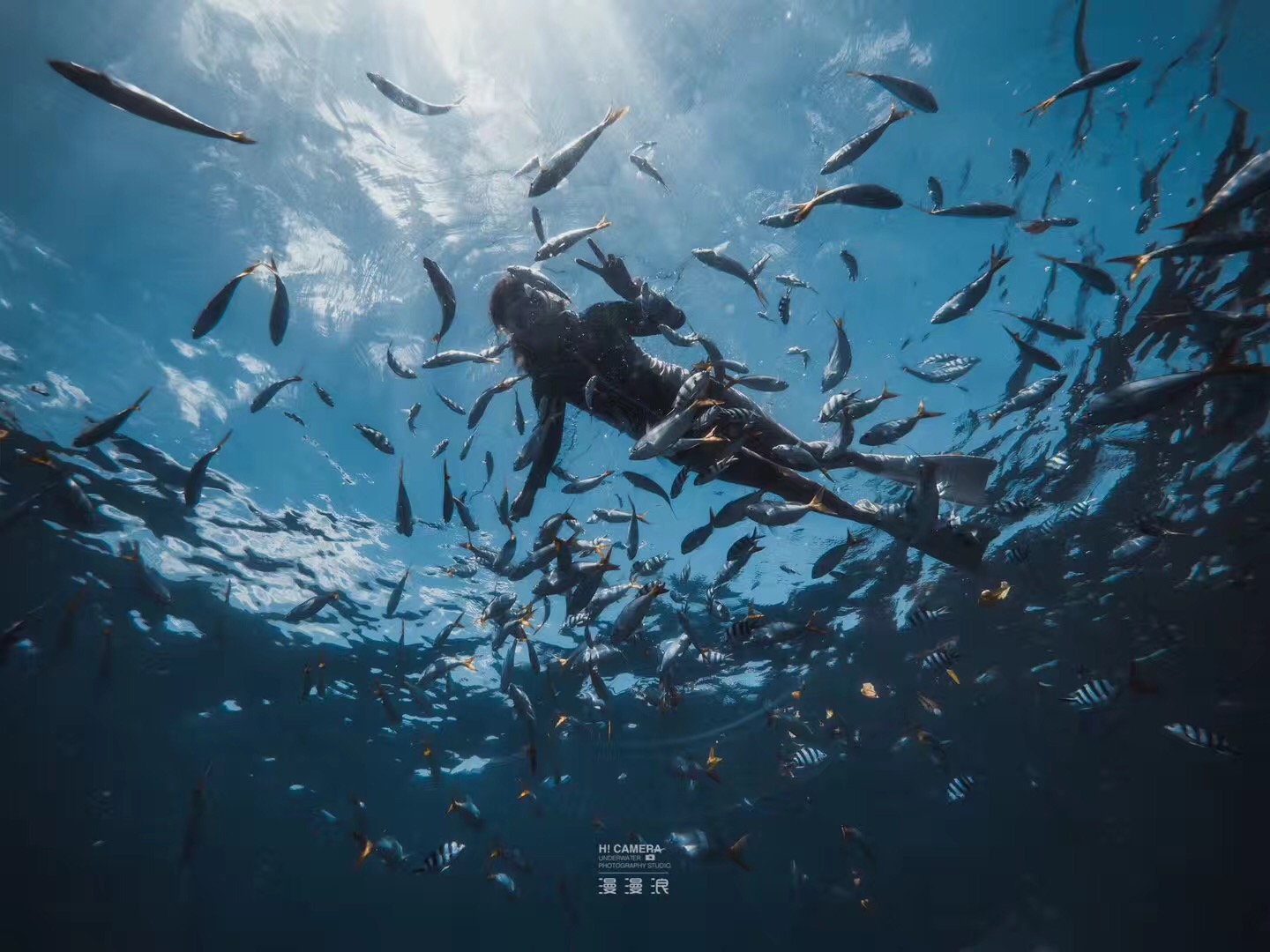 去帕劳玩是什么感觉,帕劳可以潜水吗