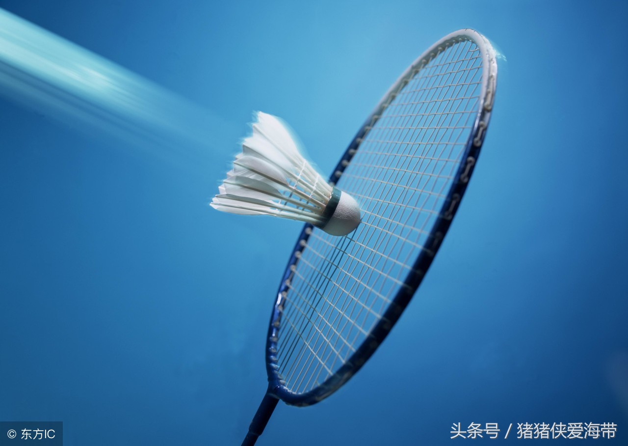 怎样选择一种羽毛球球拍最终指南,新手选乒乓球拍直拍好还是横拍好