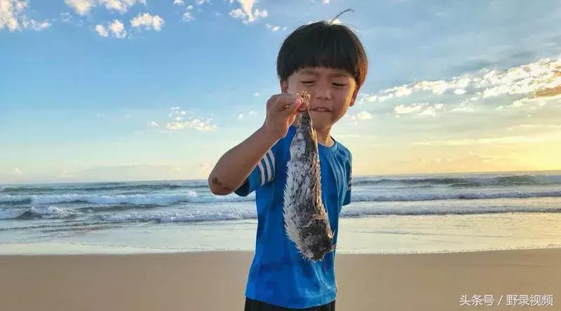 父子徒步登山,父子徒步旅行记