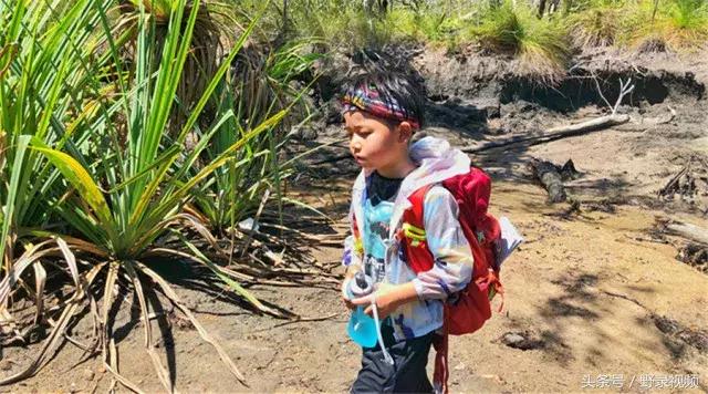 父子徒步登山,父子徒步旅行记