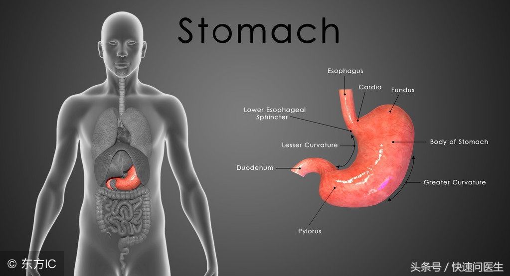 胃部间歇性的疼痛是怎么回事,胃部间歇性疼痛怎么回事