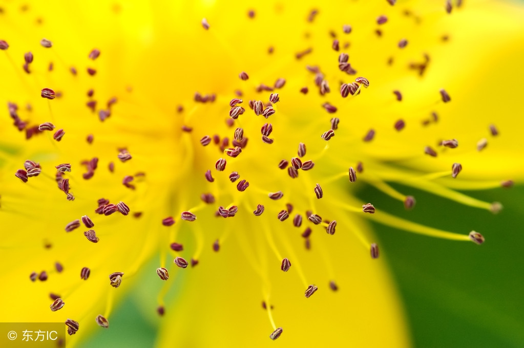 过敏性鼻炎病发率高，出现这几个症状，很难逃脱了