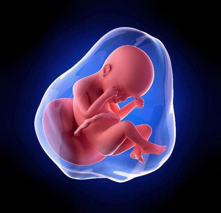 胎盘成熟度0级是什么意思,胎盘成熟度0级和1级有什么区别