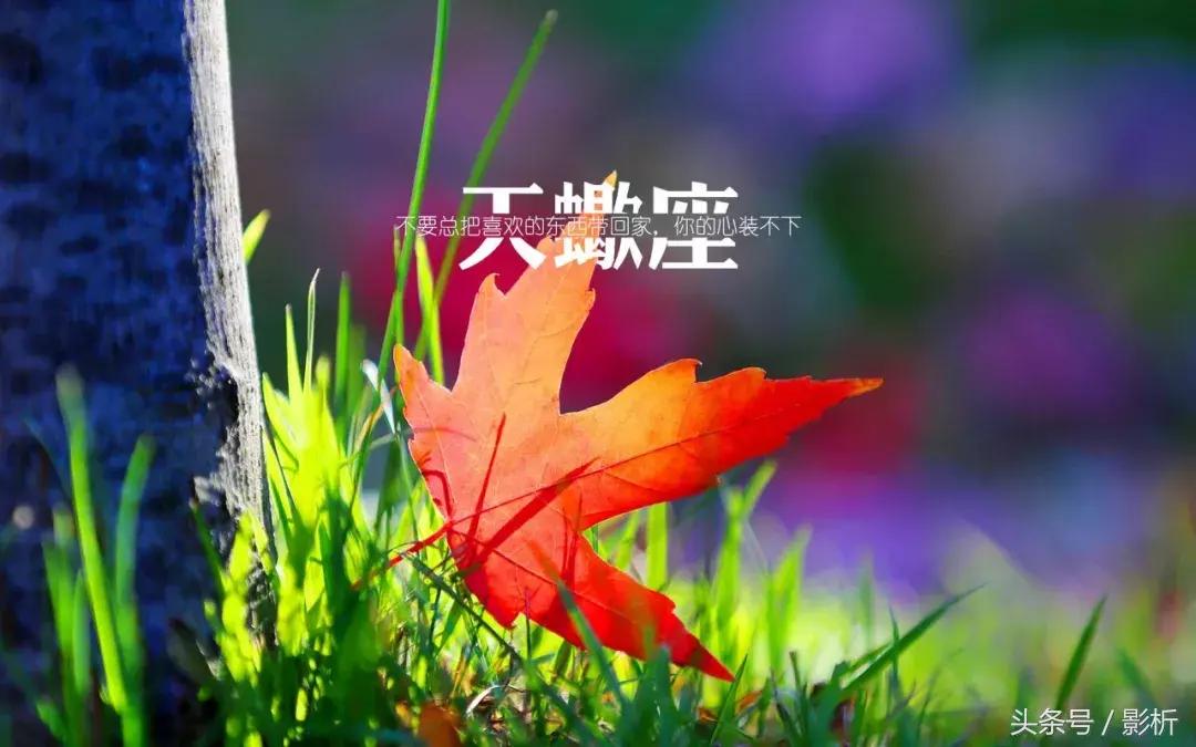 鍞編鍥剧墖甯﹀瓧鏉ㄧ粵,鍞編鍥剧墖甯﹀瓧