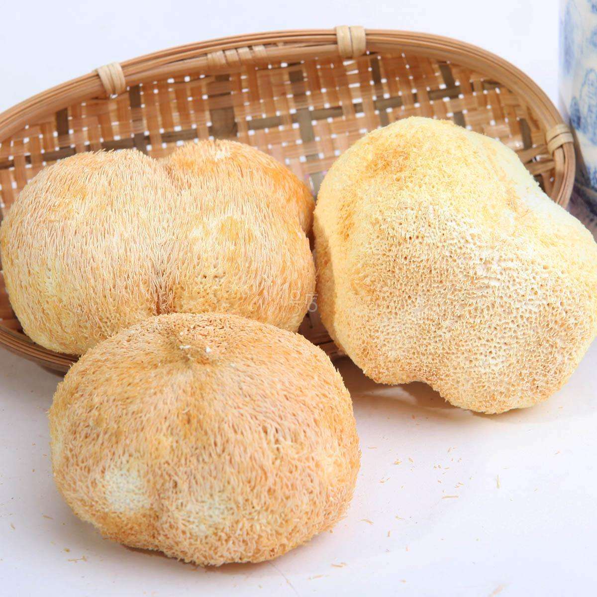 最天然最罕见的最美味的野生菌,最美味极其罕见的野生菌