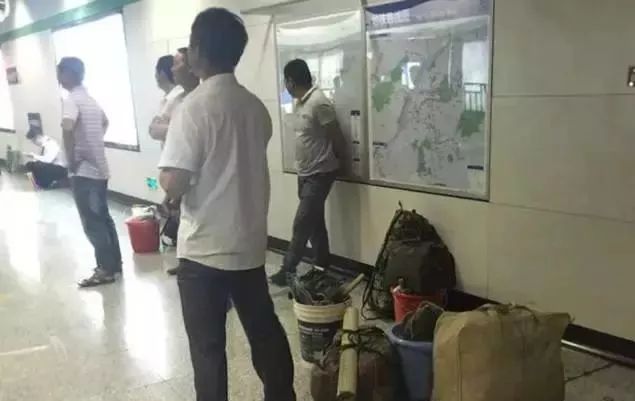 董卿跪地为什么获得网友的称赞,董卿卑躬屈膝