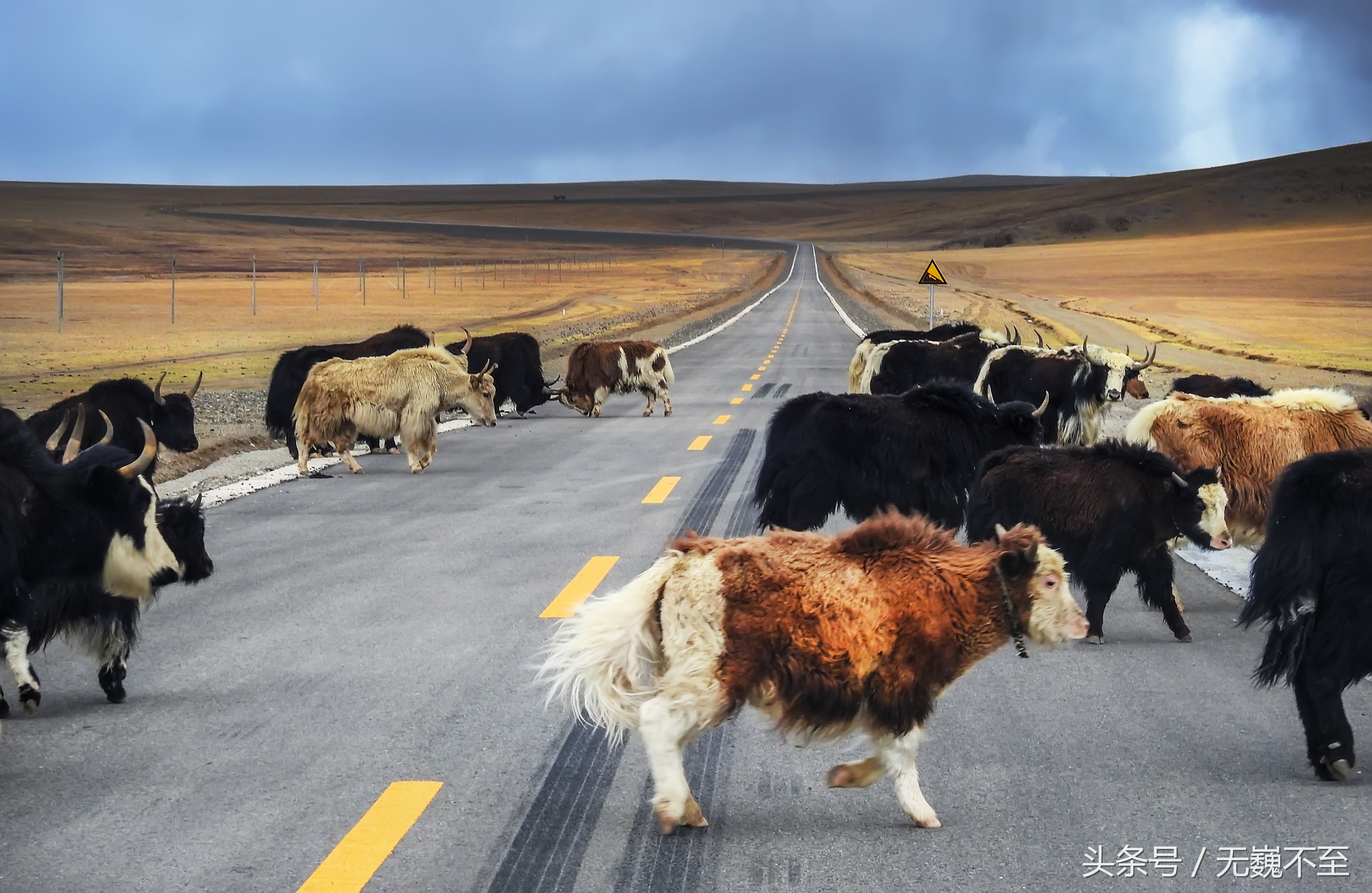 四姑娘山海拔最高的垭口,攀登四姑娘山三峰海拔多少