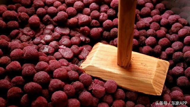 又到野生杨梅成熟的季节,又到了杨梅采摘季节