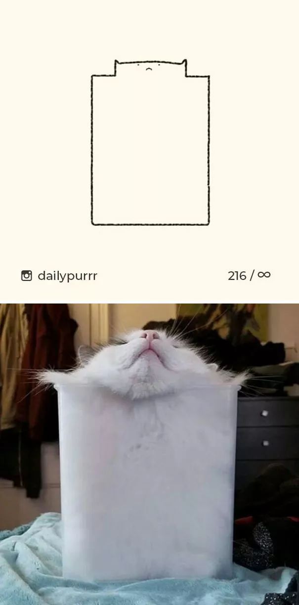 关于猫的肖像画,猫各种形态的影子画