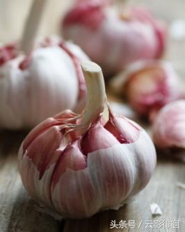 嘉兴特产狗不理包子,天津的特产为啥叫狗不理包