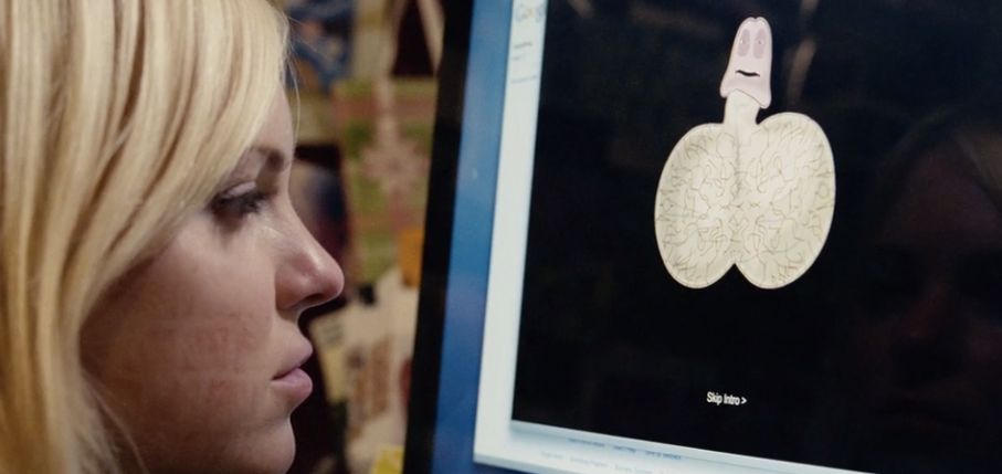 美国队长正面全身照,美国队长全身写真