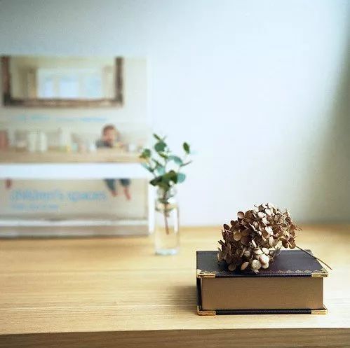 美国习惯用语丨dropaball……