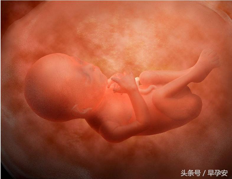 为什么有些胎宝宝偏小?胎儿宫内发育迟缓的原因与诊断