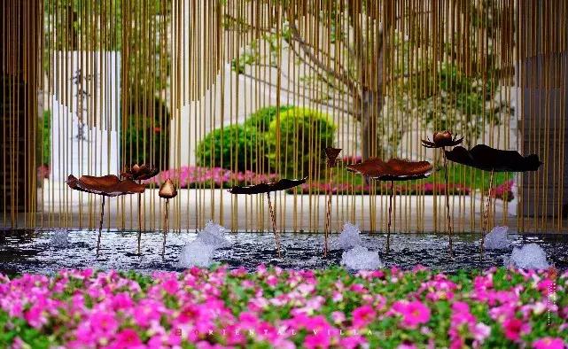 家在公园里宁静祥和空气清新,家在公园旁是一种怎样的体验