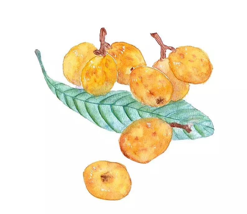 母亲节带老妈来赏花,母亲节带妈妈去公园