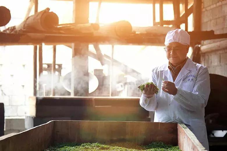 恩施富硒茶杨胜伟,杨胜伟恩施玉露品牌