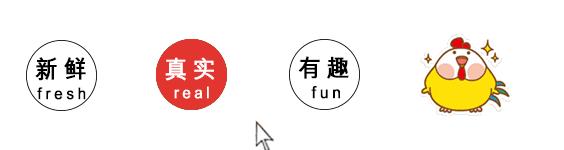 绝不放弃！小学校长跑遍29所中小学“要钱”，6年前女学生那一眼成了他一生执念