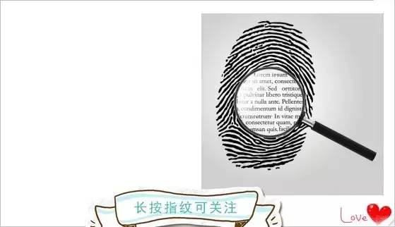 图影书声｜坚强的羽毛