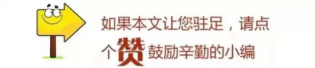 政协委员报到访谈,聚焦两会热点倾听代表声音