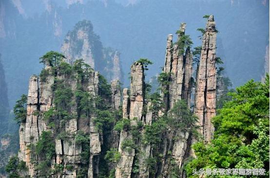 张家界旅游注意事项跟团,去张家界旅游注意事项和建议