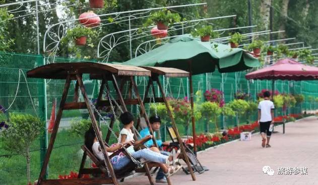 家有美景来欣赏何必外出看风景,家有美景何必远方