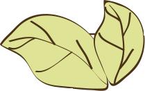 “阅读把天府文化讲给世界听”花桥小学开学第一课！｜学校风采