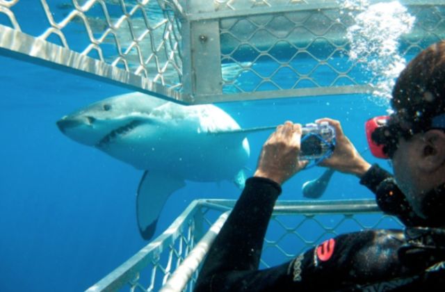 Trip丨世界上最理想的居住地什么样？好吃又好玩的南澳坐等你来~