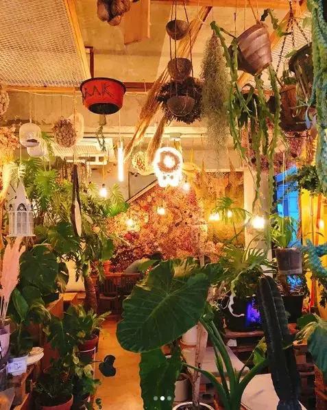 为喜欢自拍的小仙女打造的咖啡店！据说90%的韩国妹子都去打过卡