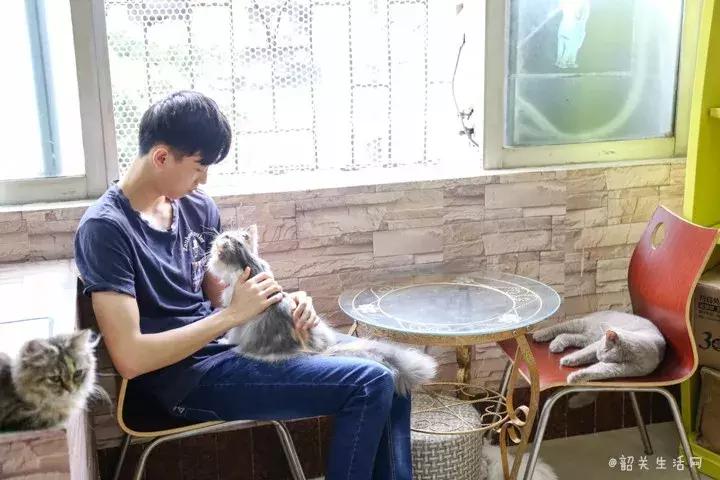 喂！妖妖灵吗？韶关这条巷子内有人聚众吸猫！已经有人沦陷了……