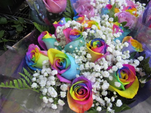 多肉母亲节,母亲节花束康乃馨团购