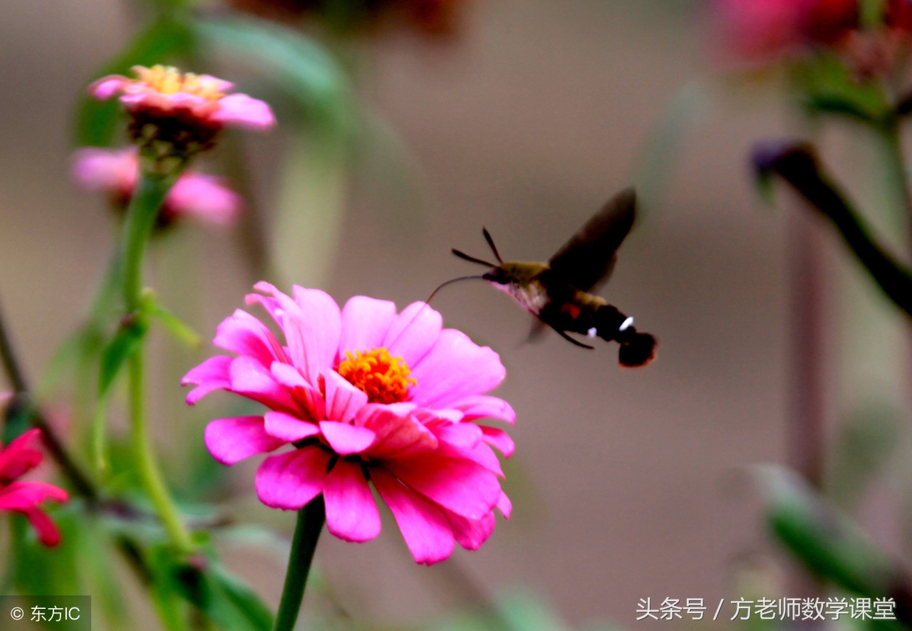 孩子即将中考父母怎么做,孩子中考妈妈对孩子应该做什么